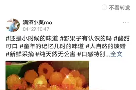 头条可以看到IP地址了图片