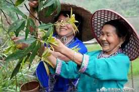 苗家五色饭 多彩庆佳节图片