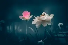 一位女性的醒悟：不为任何人而活，这一生只为取悦自己。图片