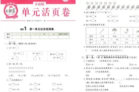 《王朝霞单元活页卷》数学北师大版 | 一二三年级下册图片
