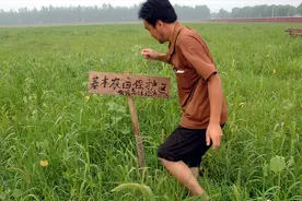 新规严格耕地管控，已建养殖场和已种树木怎么办？5点要清楚图片