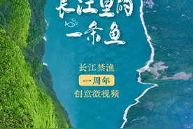 我是一条鱼图片