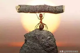 论语121：做事的魄力，来源于这个底气图片