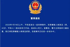 又是1人杀害6人！春节期间为何成了凶杀案高发期？如何避免？图片