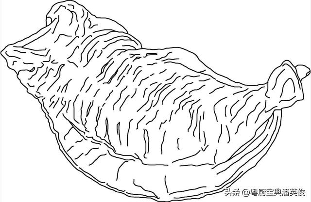 花胶和阿胶的区别 2026年花胶和阿胶的区别在哪里