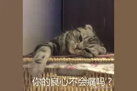 上海青浦：老人掏钱买房说好跟大儿子一起住，却被送去养老院 ，法院判决来了图片