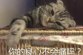 上海青浦：老人掏钱买房说好跟大儿子一起住，却被送去养老院 ，法院判决来了图片