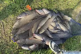 夏季野钓，4种位置钓白天，3种位置钓晚上，这3种位置可钓全天图片