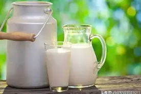 为什么说不能空腹喝牛奶？喝牛奶的最佳时间是什么时候呢？图片