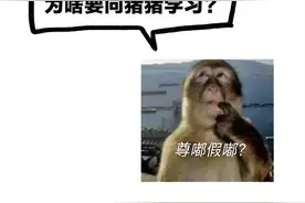 液断减肥：一种奇特又伟大的减肥方式图片
