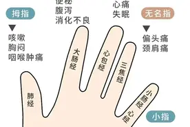手掌穴位一览图，让你知道手掌有多重要。图片