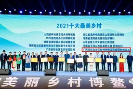 喜讯！广西唯一！这个屯获评“全国十大最美乡村”！图片