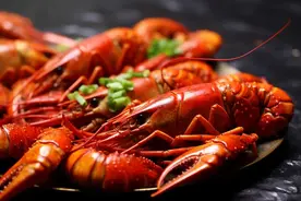 老外表白为什么说You are my lobster，你是我的龙虾？图片