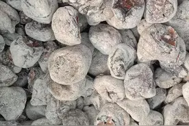 柿饼的诱惑力(散文)图片