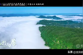 动力十“竹”| 中华竹都，看竹的“72变”图片