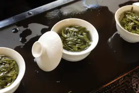茶桌谈资｜岩茶和白茶到底有多配？图片