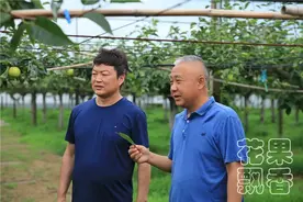 一个新品种能卖多少钱？10万元，100万元，1000万元图片