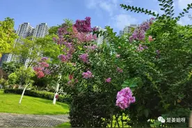 请客，最能反映一个人的格局图片
