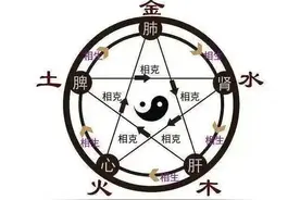反治法在中医治疗中的几种具体运用图片