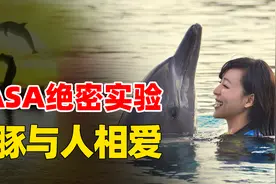 残忍的NASA海豚实验！竟然让海豚与人相恋，被迫分手竟殉情自杀？图片
