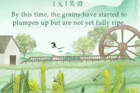 二十四节气 | 小满图片