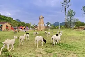 “夏”一站贵州 | “六一”怎么玩，看这里！图片