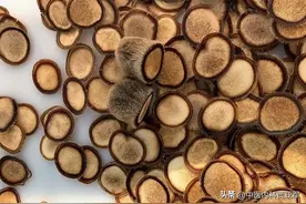 被誉为“补阳之首”的1味药，补肾阳、益精血、强筋骨、延缓衰老图片
