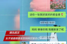 女子深夜假装去世母亲给自己回微信：“仿佛是妈妈在给我鼓励”图片