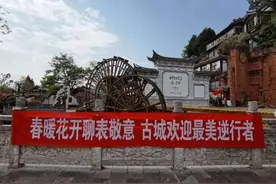 我和一女网红，被隔离在丽江客栈24天的日子里图片