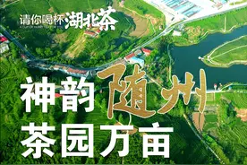 有“史”有“钟”的茶叶小产区，如何实现出口量领跑湖北的逆袭？图片
