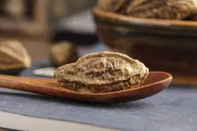 话说本草之 诃子图片