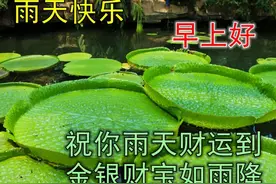 幸福美好的早上好问候图片 下雨天清晨祝福文字图片精选图片