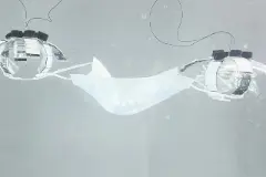 海洋清洁利器：仿生机器水母不用碰触垃圾就能吸走它们图片
