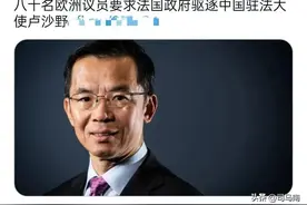 司马南：驻法大使卢沙野被撕咬背后的真相究竟是？图片