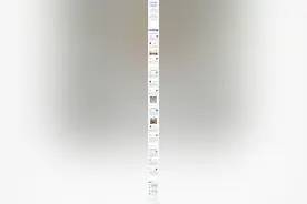 今评弹·她们说丨 宠物界新晋“顶流”芦丁鸡的红与黑图片