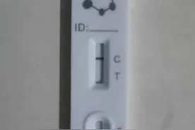 估计我阳了图片