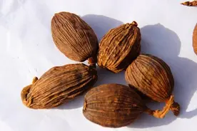 揭秘大厨后厨的15种去腥增香料：使用这些，任何菜肴都香浓可口！图片