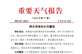 中雨！烟台发布最新降水预报和大风警报！图片