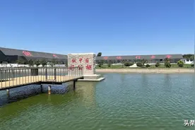 一夜成名，从名家林立的开尔拿下冠军，小将苏易甫是如何做到的？图片
