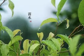 雨水诗词丨一帘新雨后，人间又逢春图片