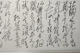 有人说“山舞银蛇”这句，气势不大应重新改一下，遭到无数人嘲弄图片