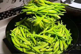 此物人称“忘忧草”，寻常人只欣赏，其实花才是宝贝，不懂吃可惜图片