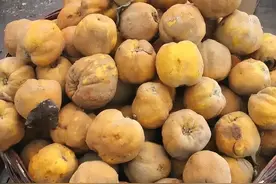 俗称“木梨”，一种古老的水果，长得像梨却硬如石头，煮熟才好吃图片