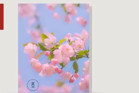 不委屈不讨好，不廉价不迎合图片