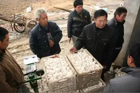 做生意赚不到钱就是因为你太“实诚”，想赚到大钱要学会“耍奸”图片