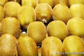 明明长得一个模样，为啥一个叫猕猴桃一个叫奇异果？原来差在这儿图片