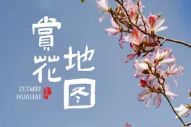珠海赏花地图出炉！春天最美的风景都在这里图片