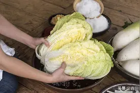 全国哪的大白菜最好吃？经评选，这5个产地特别不错，有你家乡吗图片