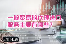一般贸易的代理进口服务有哪些图片