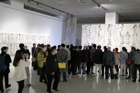 捅破了窗户纸，张旭光的分级理论等于说：当代书法不是书法图片
